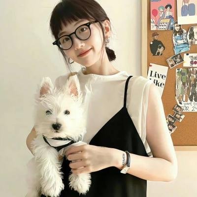 黑之契约者2:流星的双子