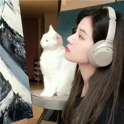 黎明的飞鸟